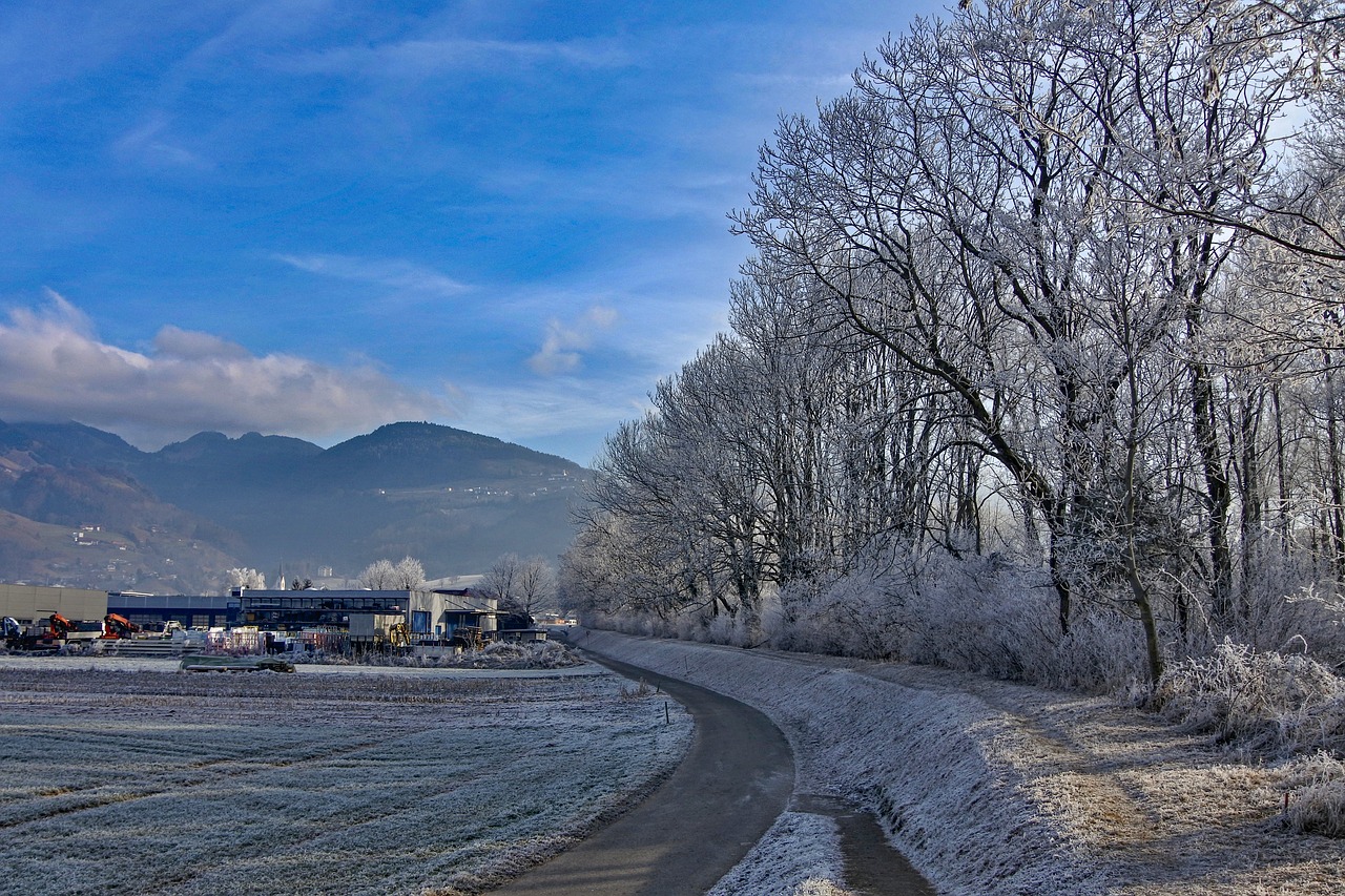 frost  cold  nature free photo