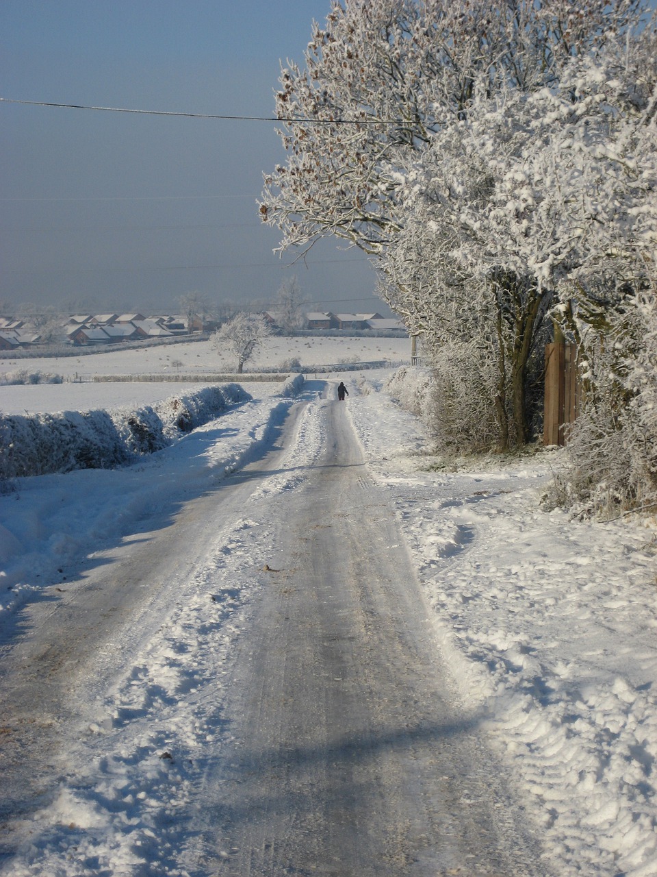 frost  snow  winter free photo