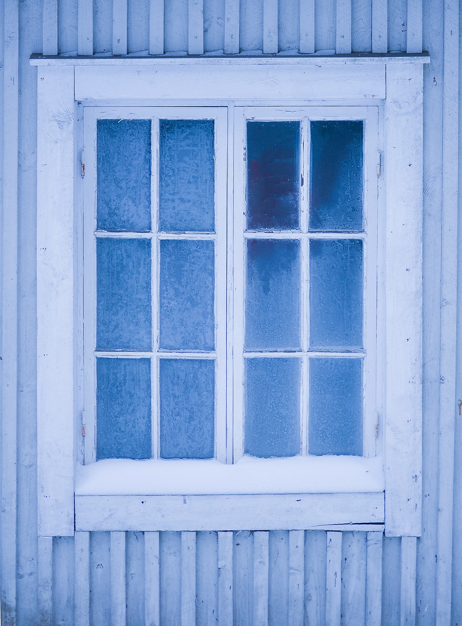 frost window winter free photo