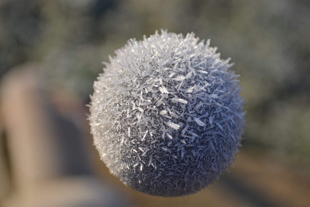 frost ball winter free photo