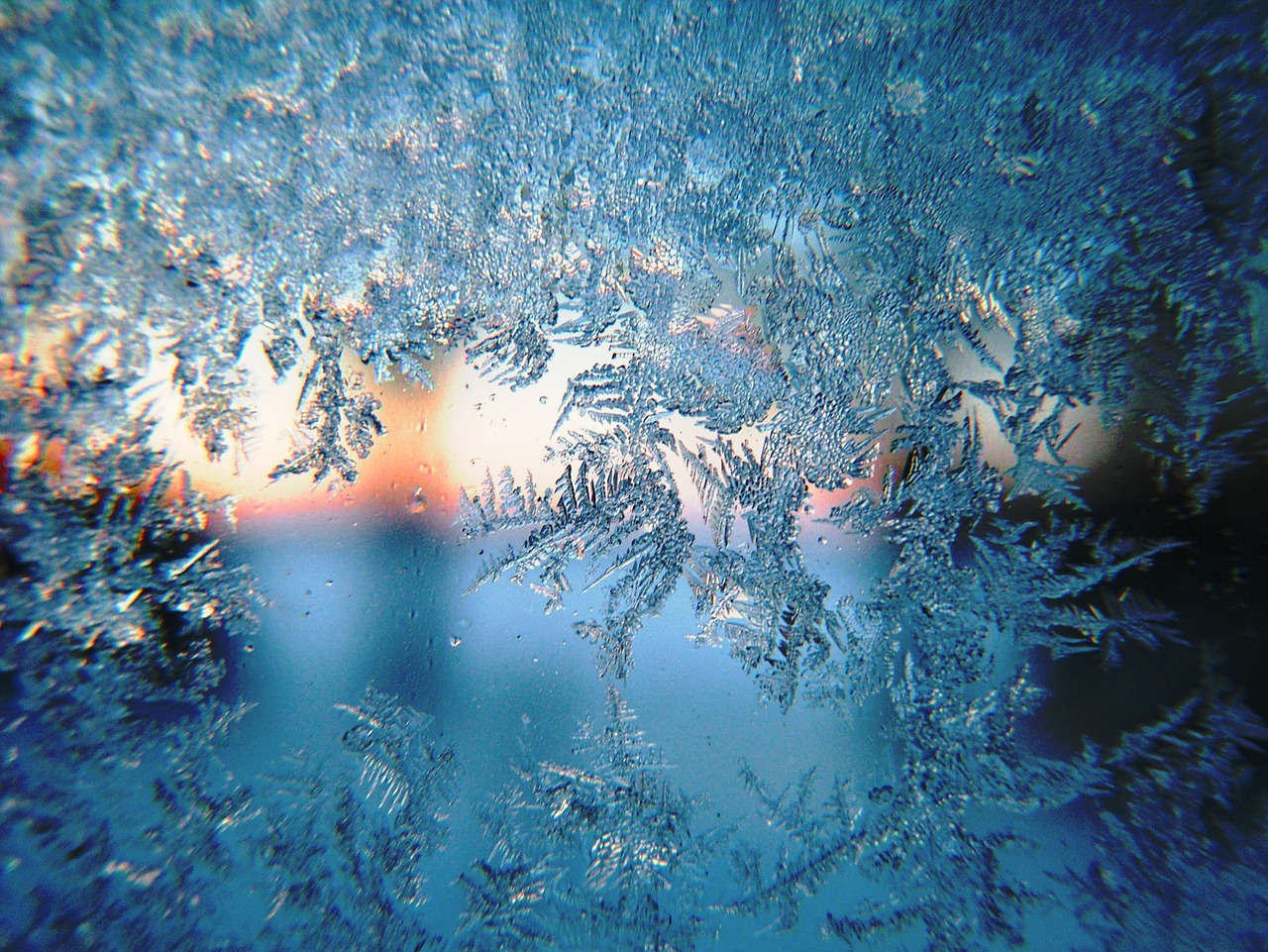 frost winter morning free photo