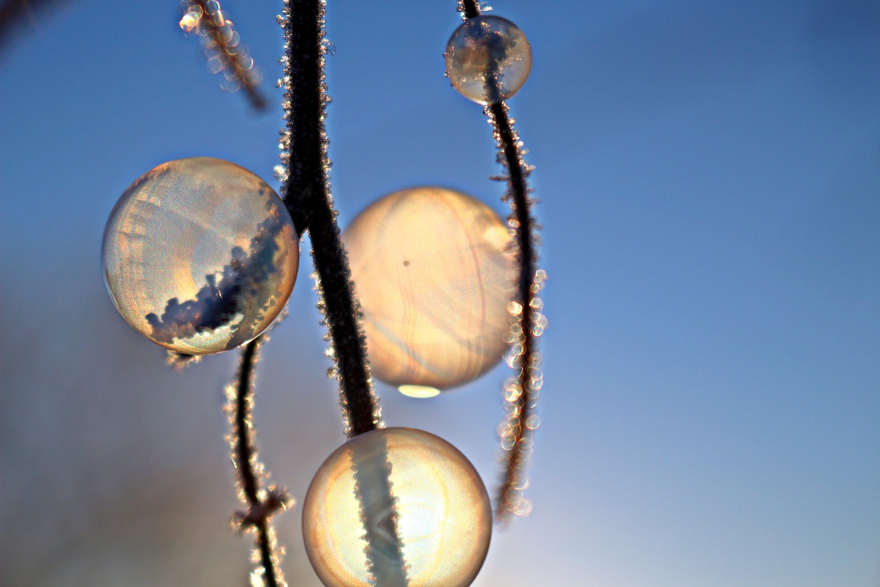 frost blister ball soap bubble free photo