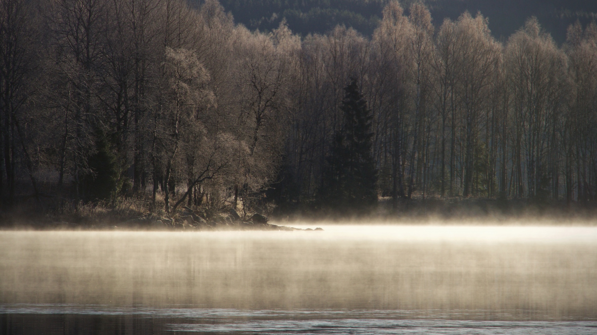 lake water fog free photo