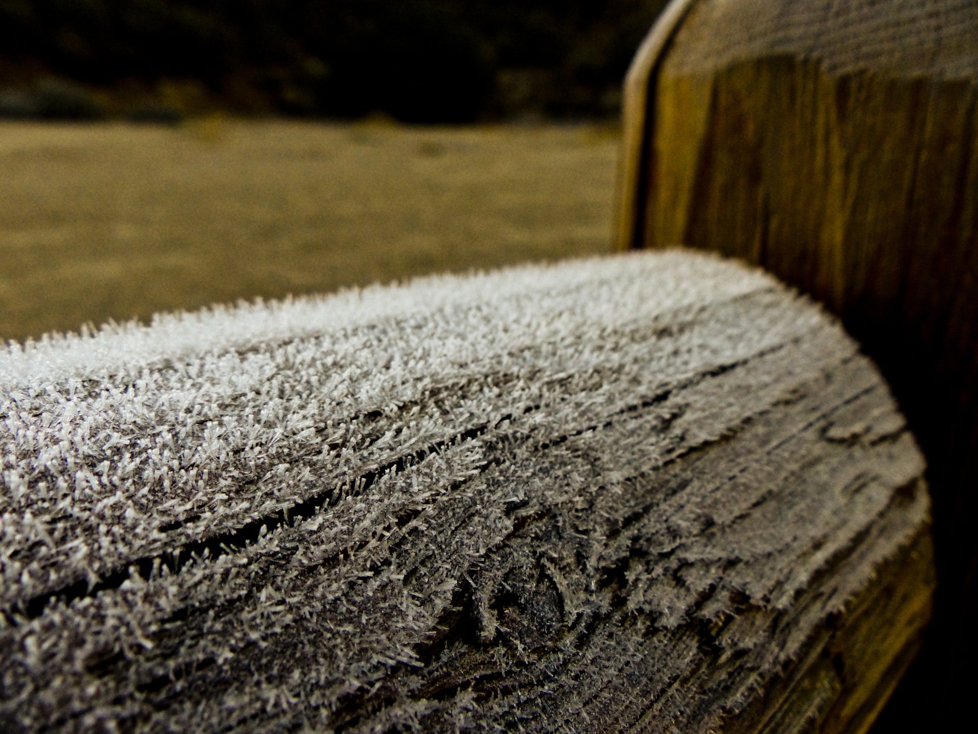 spring frost fence free photo