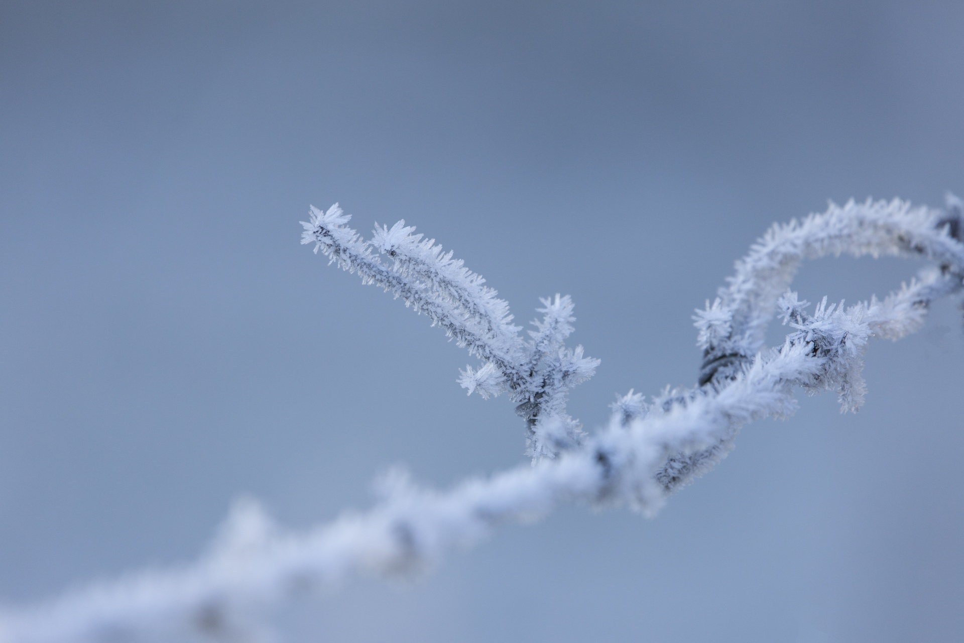 barbed wire cold temperature fence free photo