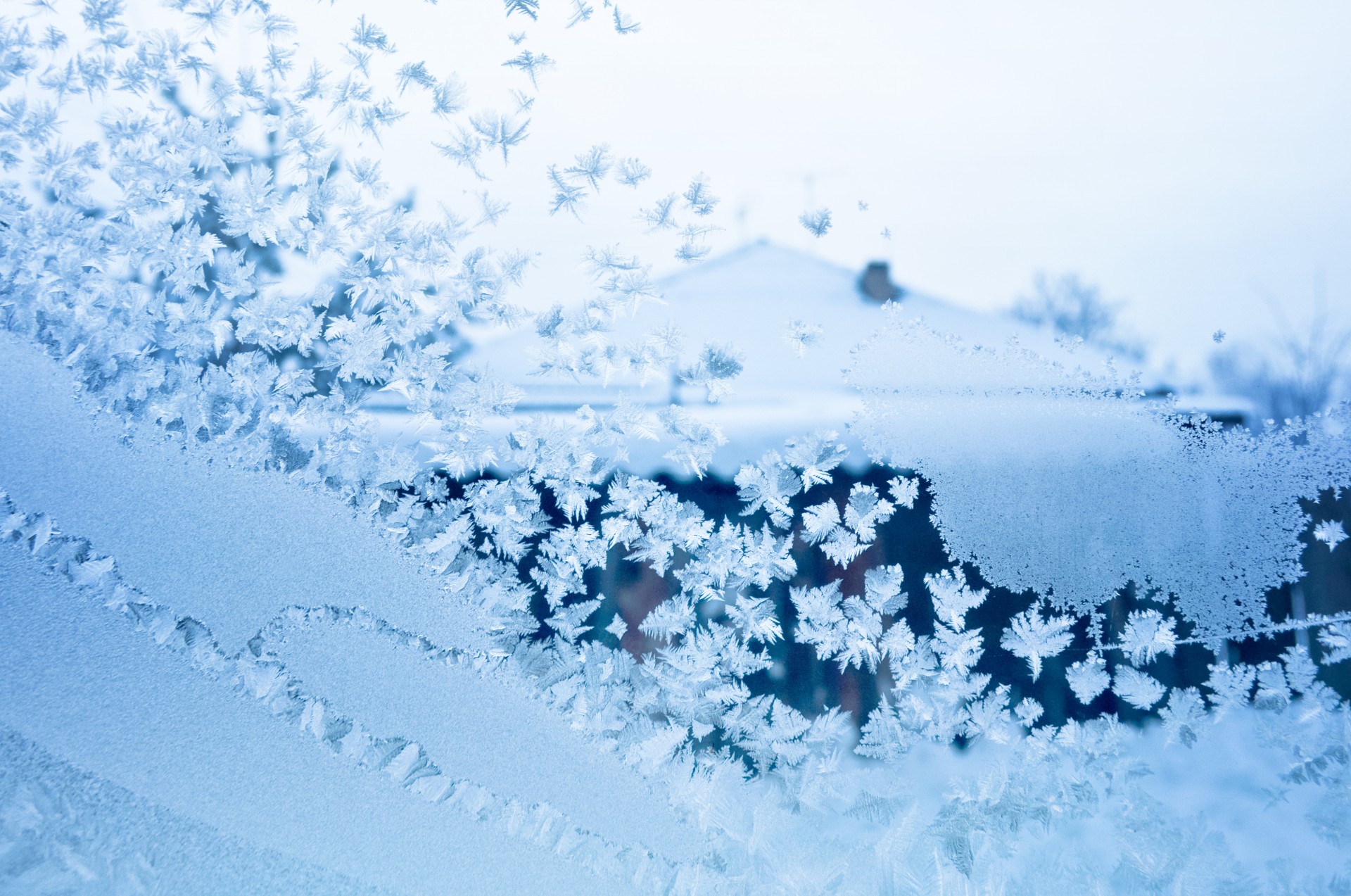winter frost window patterns free photo