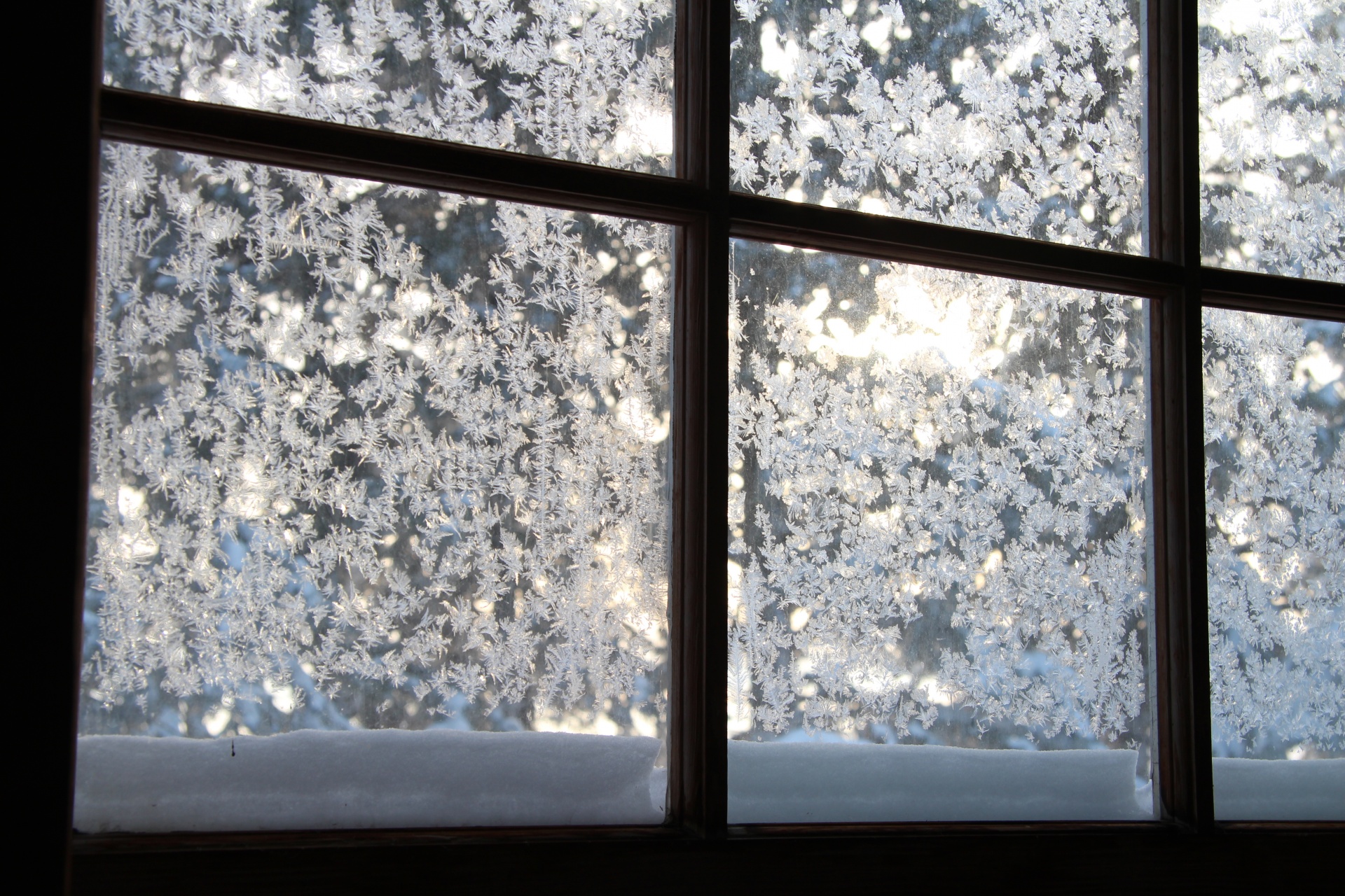 Frosted Windows 1517249020y7s 