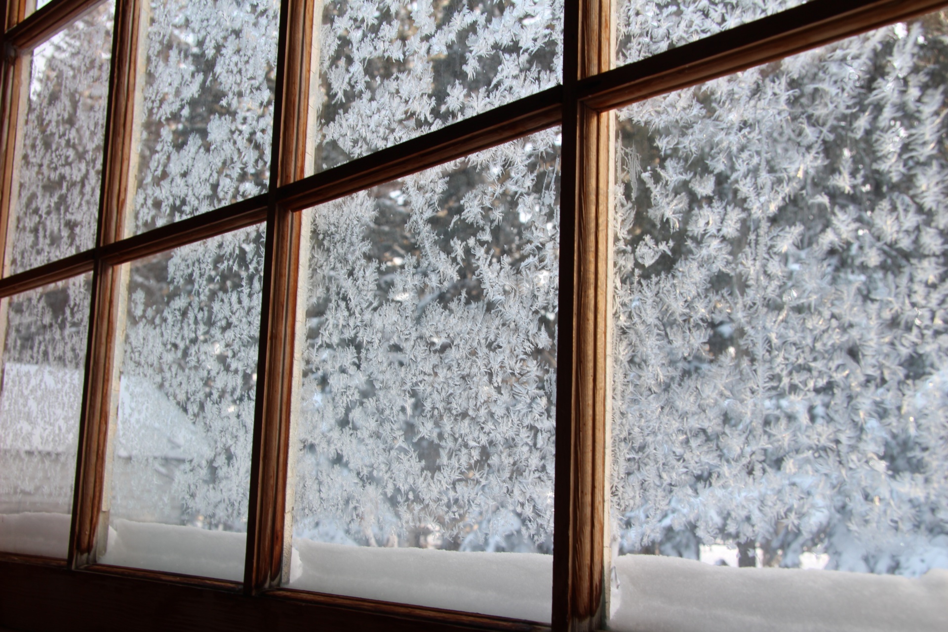 download-free-photo-of-frost-windows-cold-winter-jackfrost-from