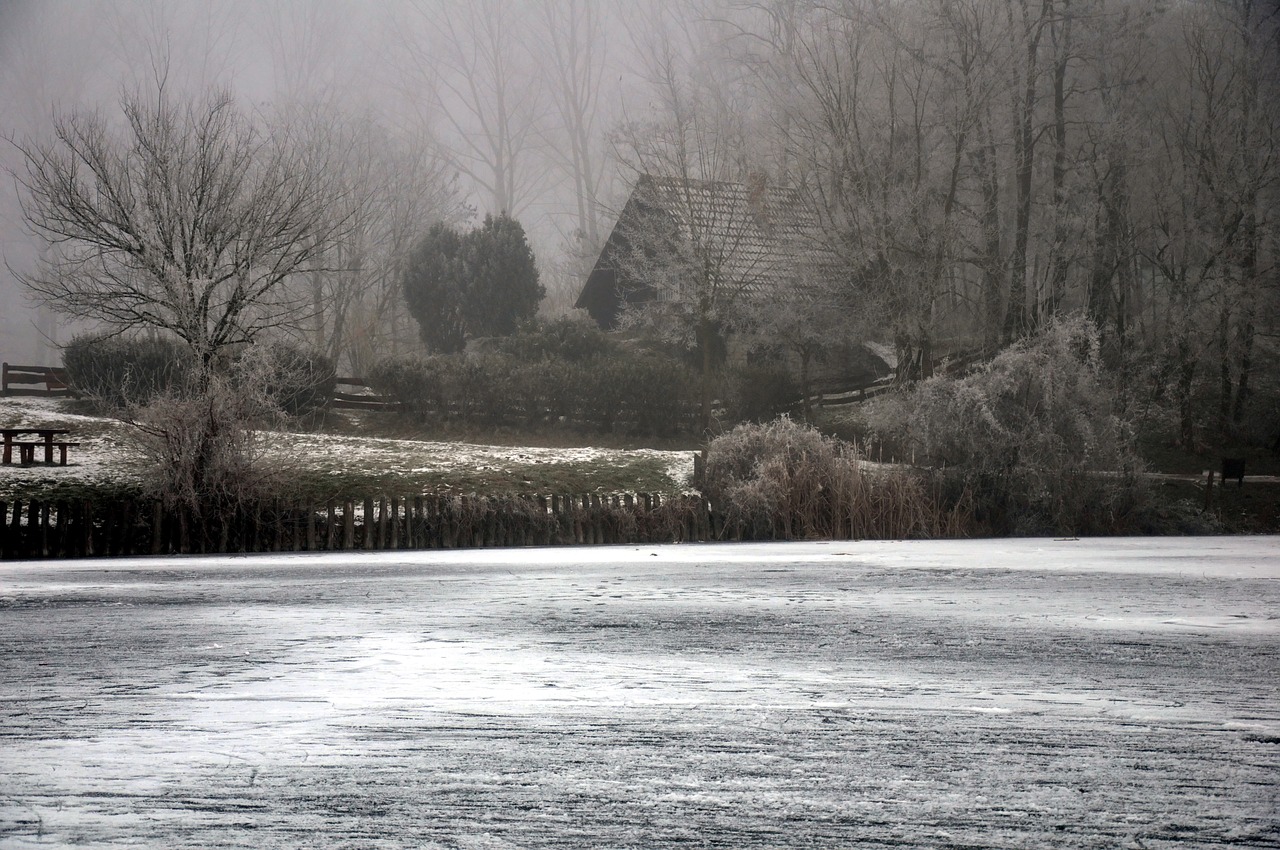 frosty countryside ice winter free photo
