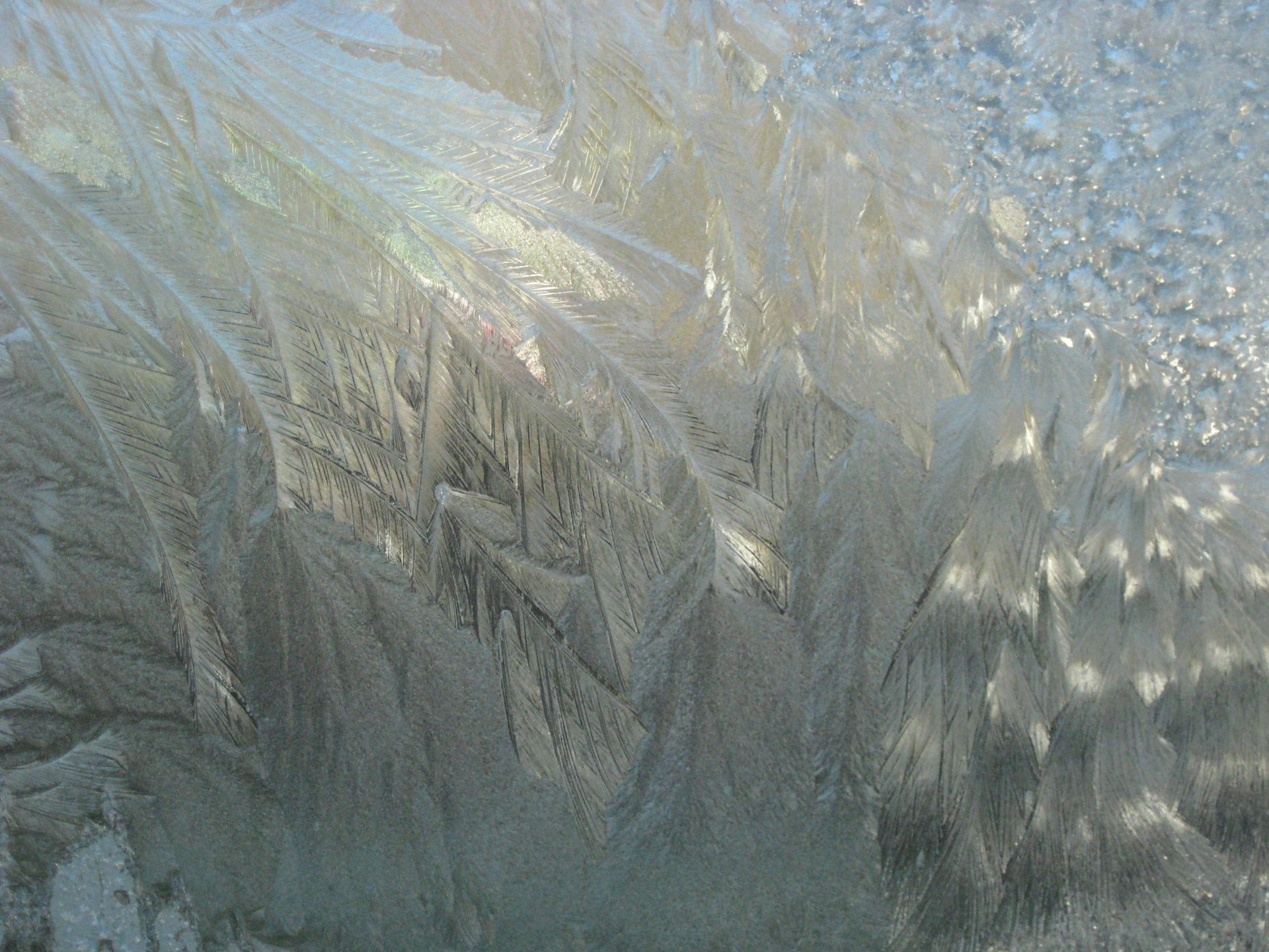 icy frosty car free photo