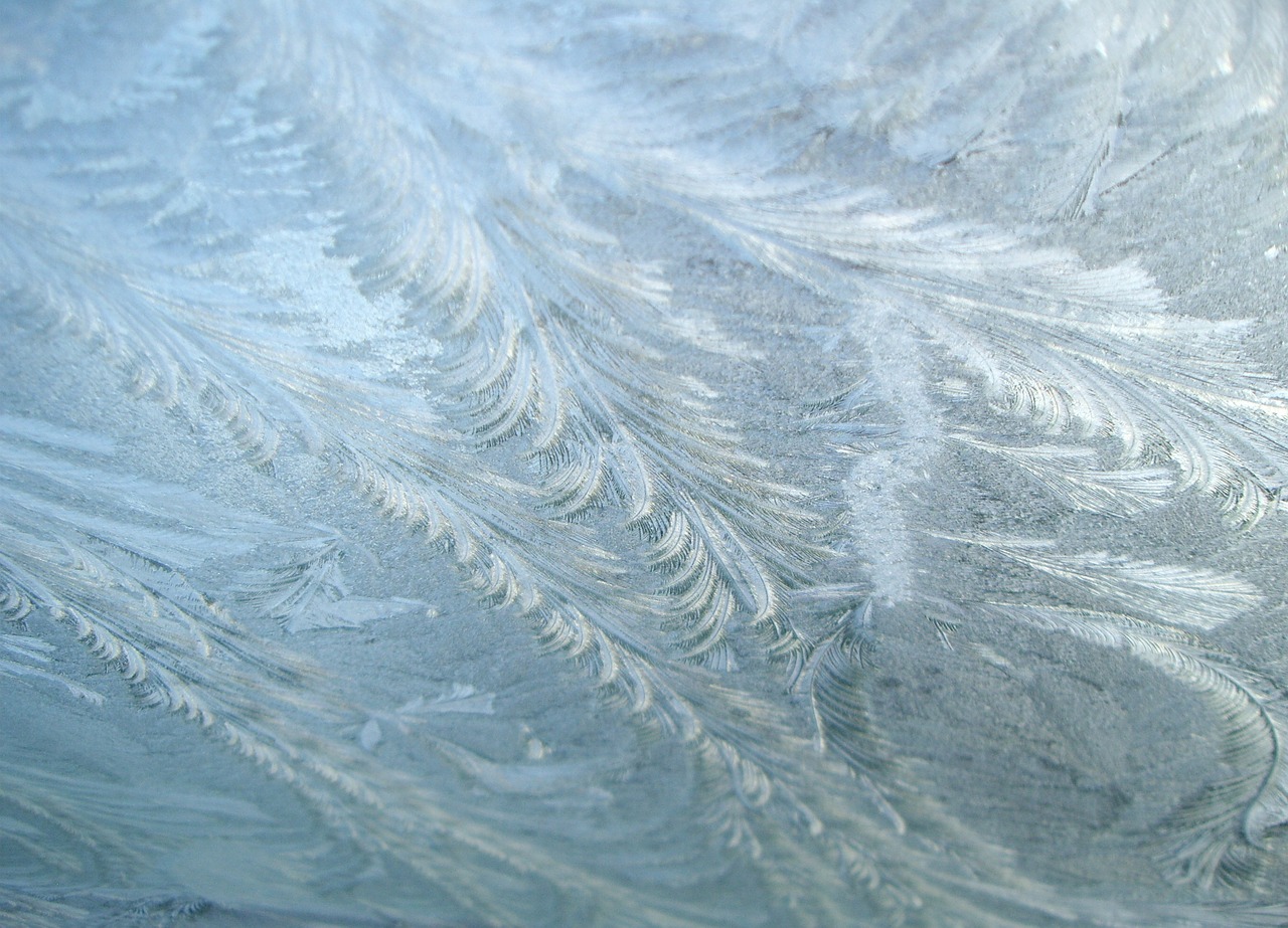 frozen frost ice free photo