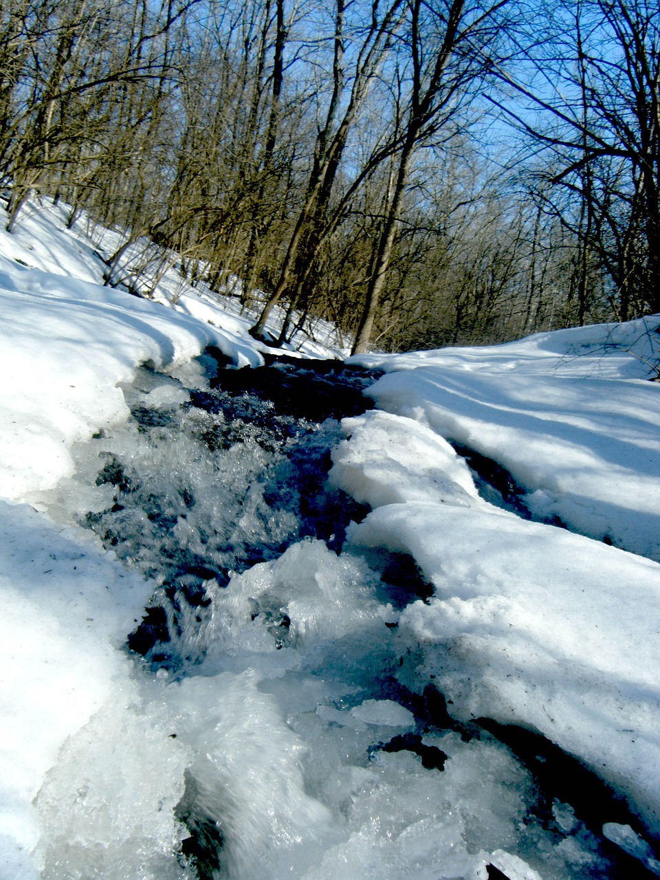 frozen winter river free photo