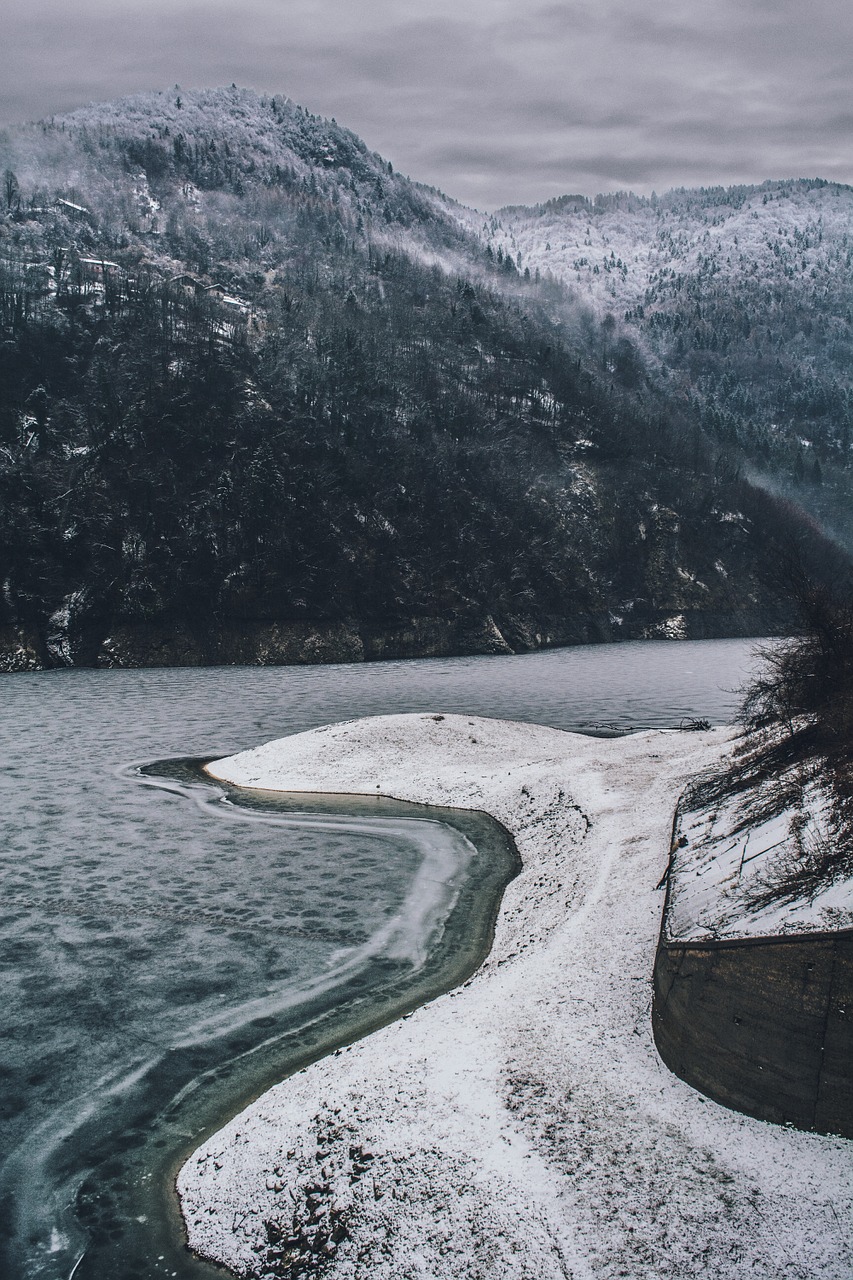 frozen winter blue free photo