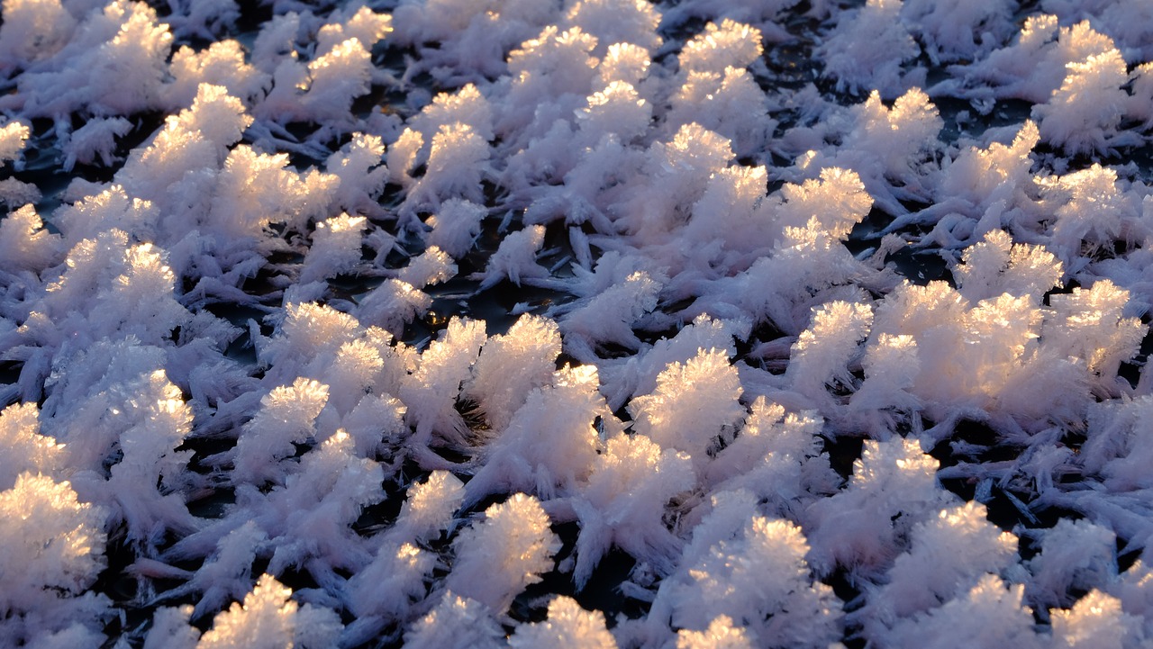 frozen frozen lake ice free photo