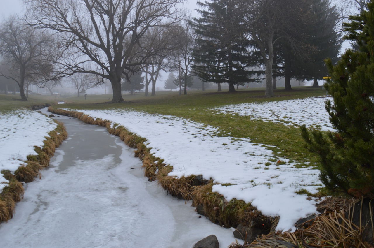 frozen creek foggy free photo