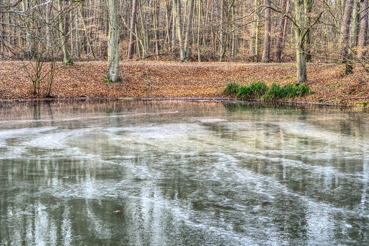 frozen lake ice free photo