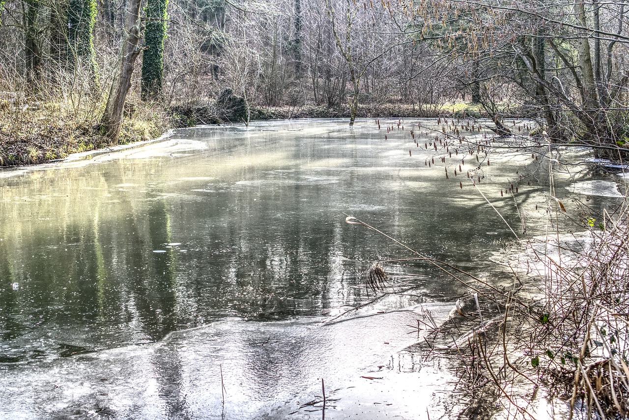 frozen  lake  ice free photo