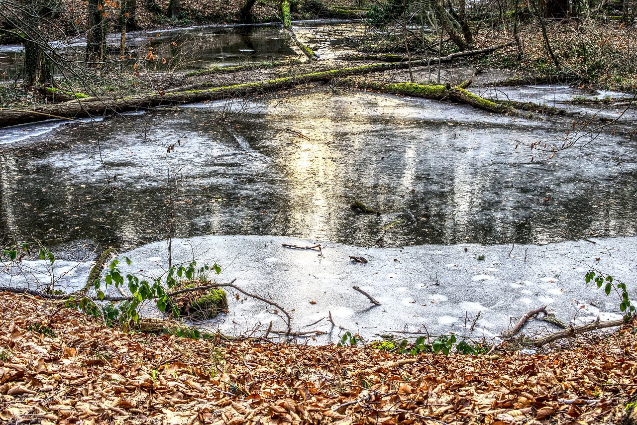 frozen  lake  ice free photo