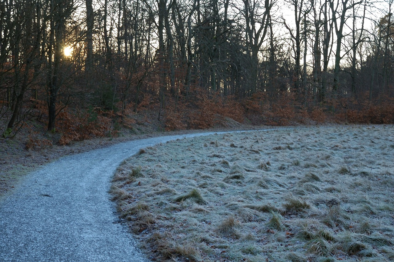 frozen ground road free photo