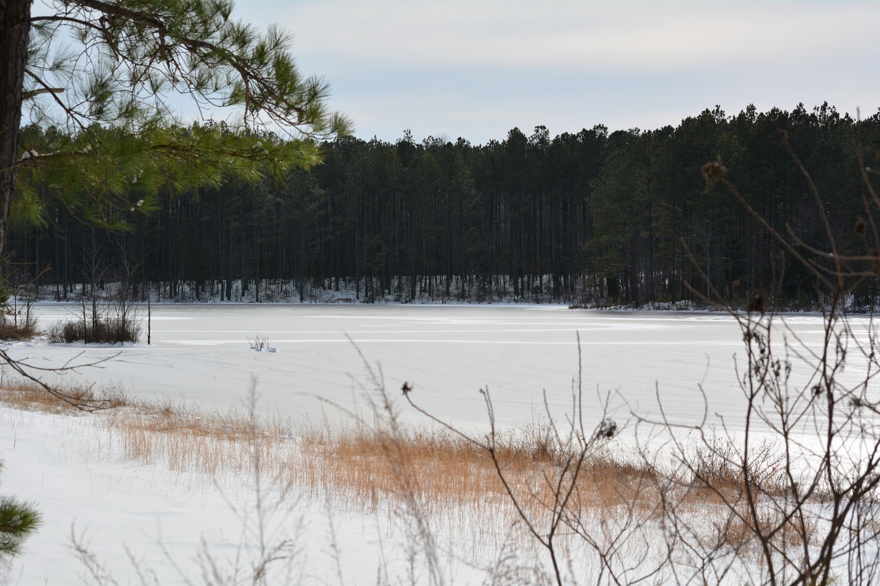 frozen lake pond free photo