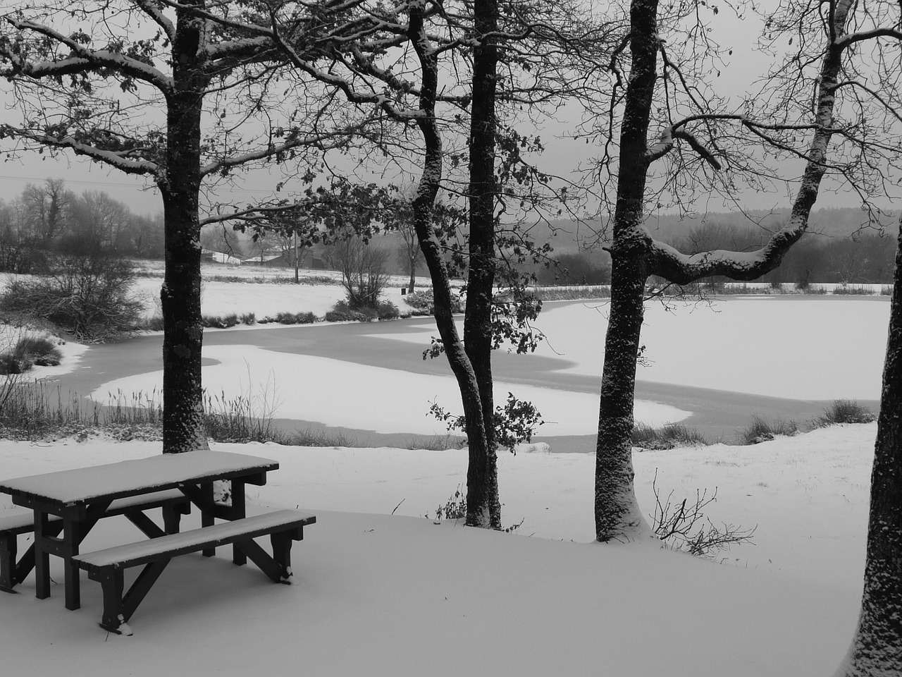 frozen lake snow white free photo