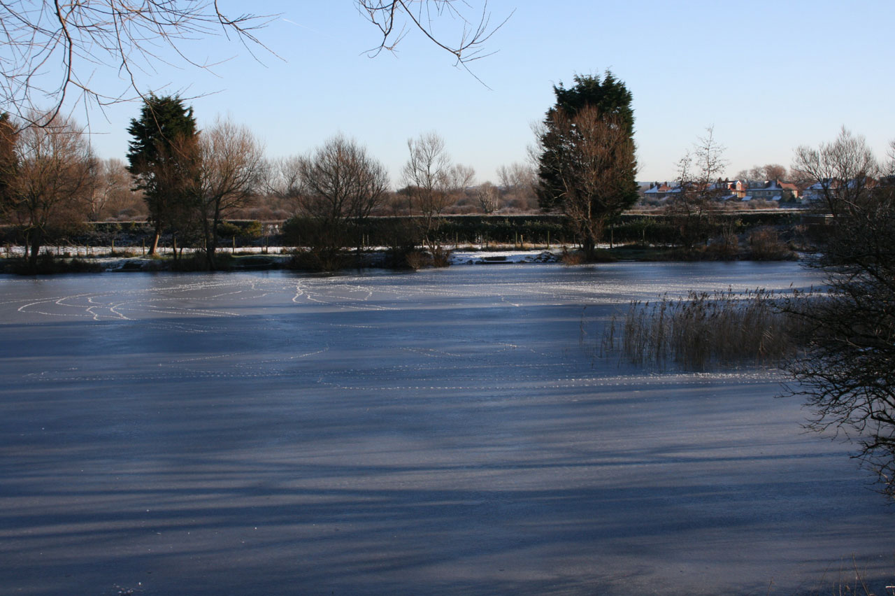 frozen lake winter free photo