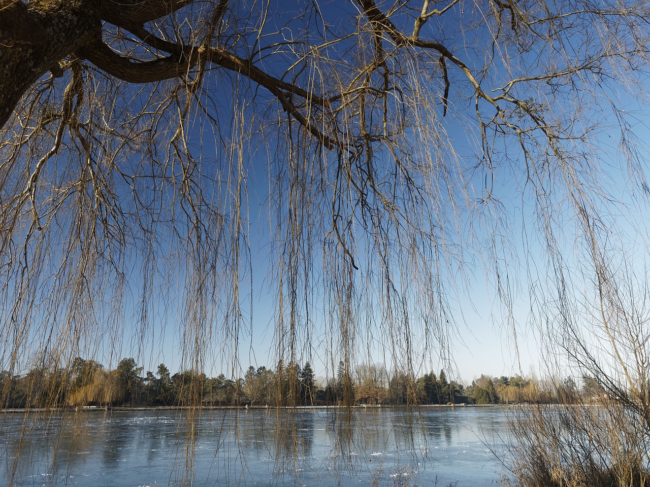 frozen lake mix lake free photo