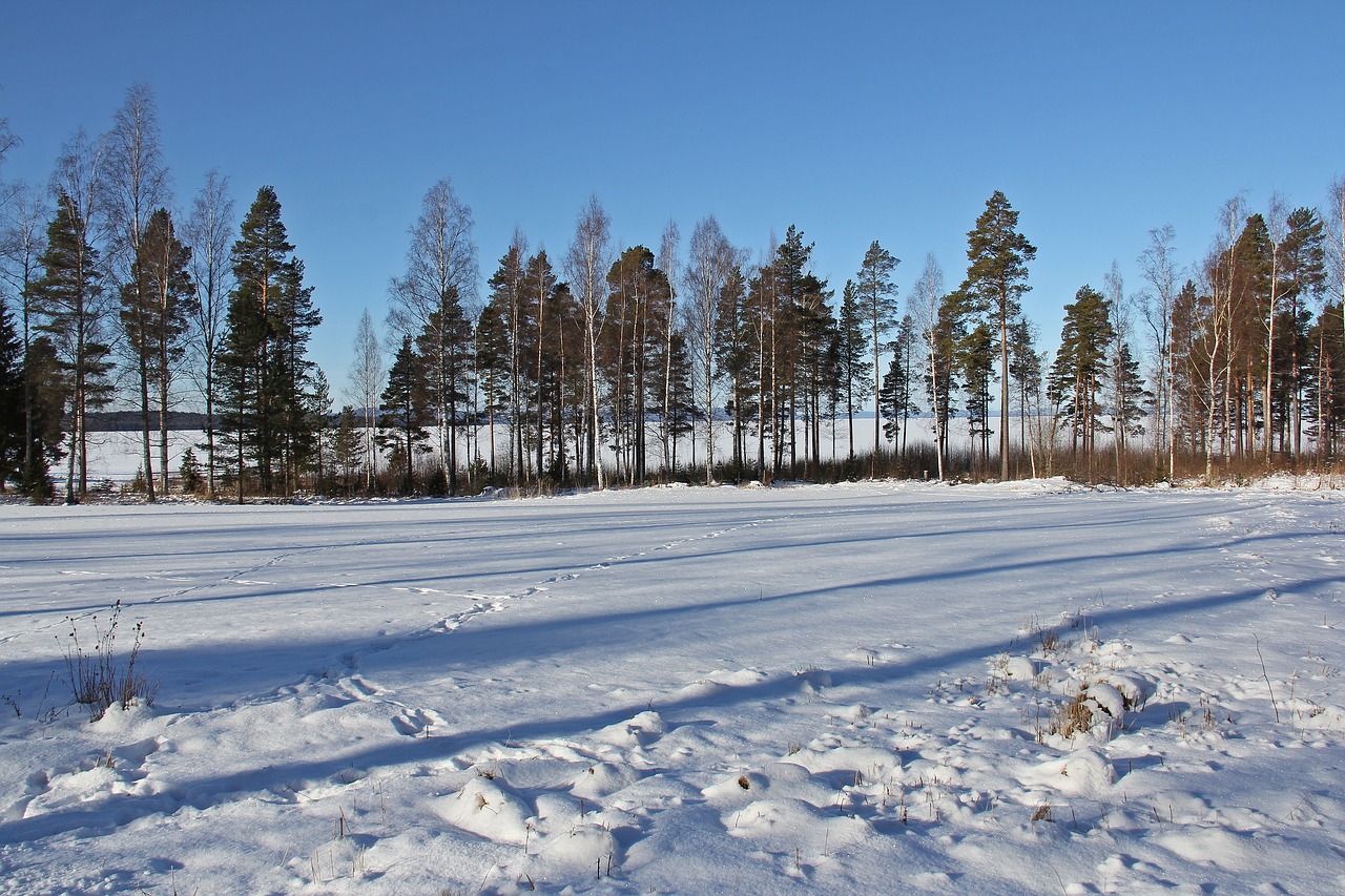 frozen lake siljan lake lake free photo