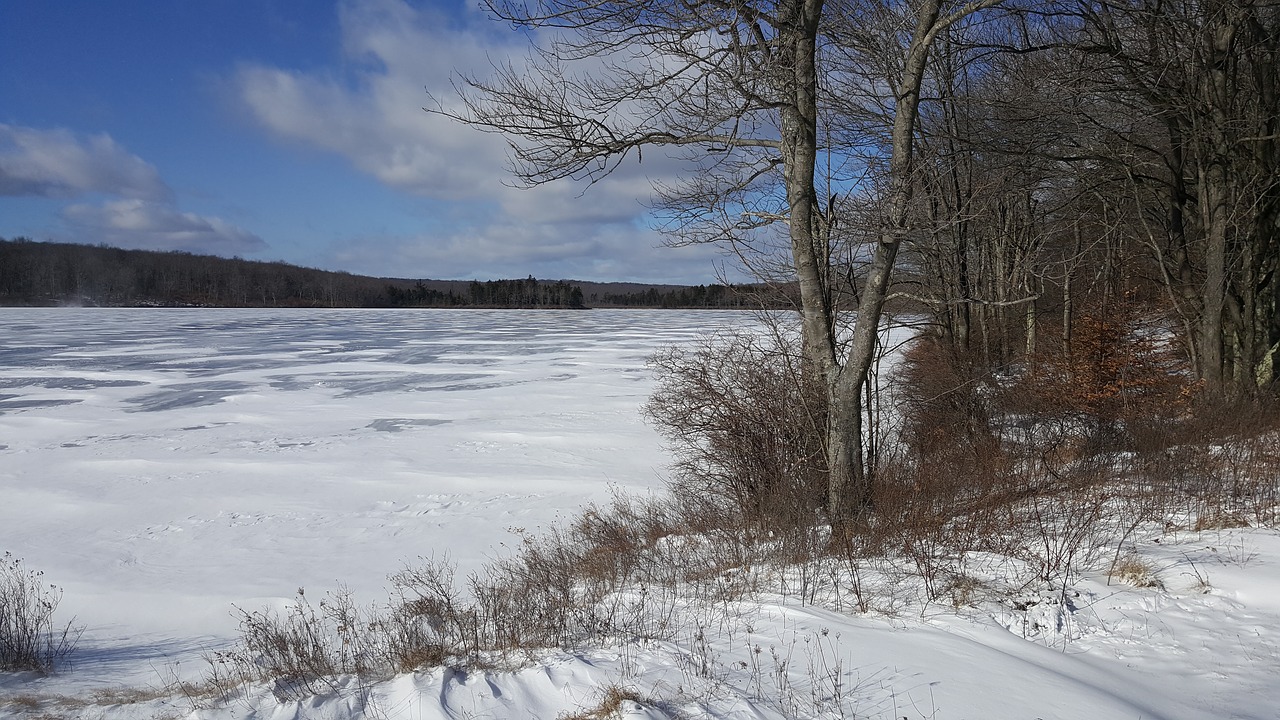 frozen lake lake winter free photo