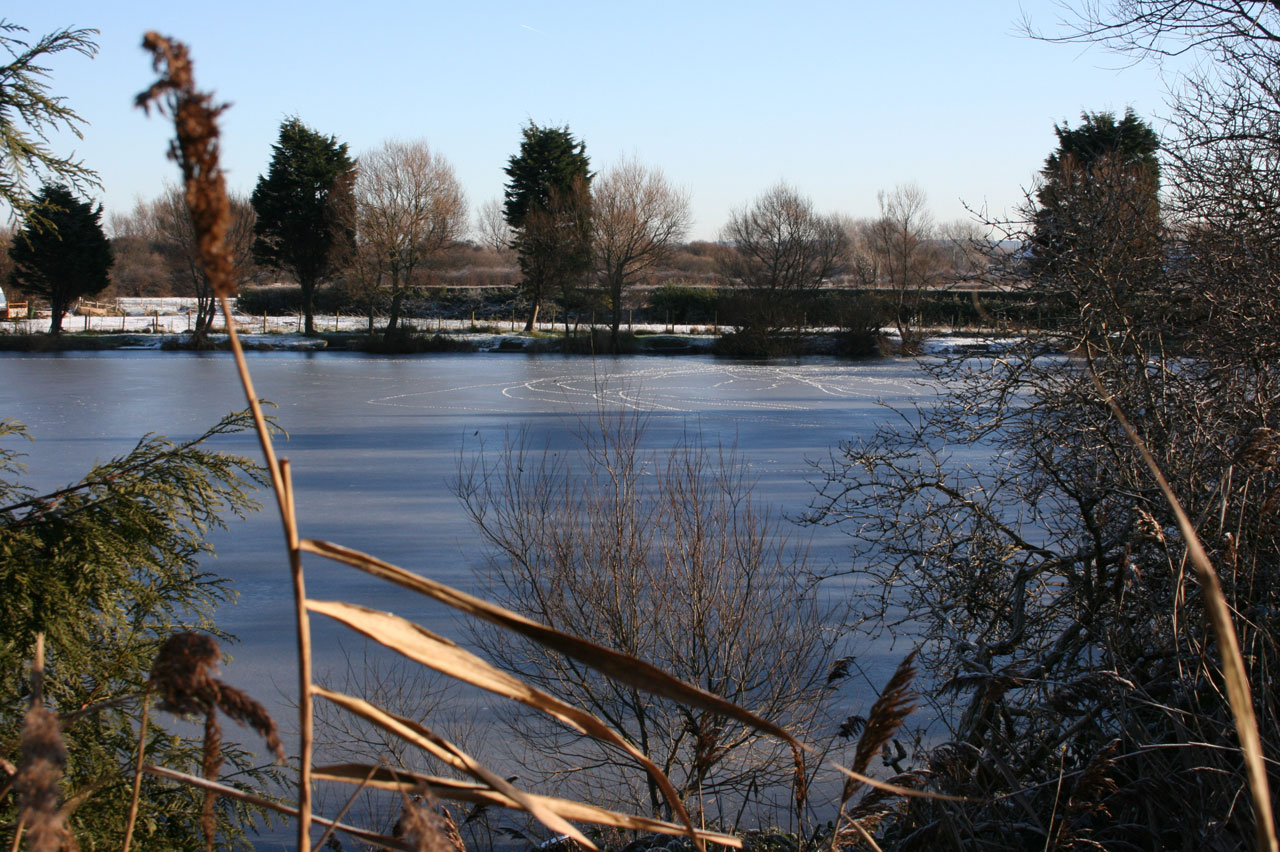 frozen lake winter free photo