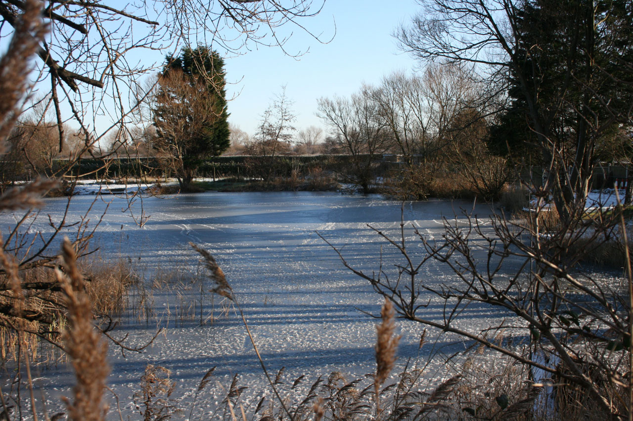 frozen lake winter free photo