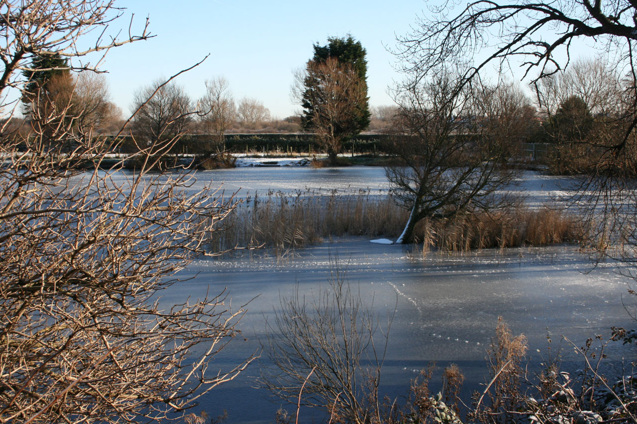 frozen lake winter free photo