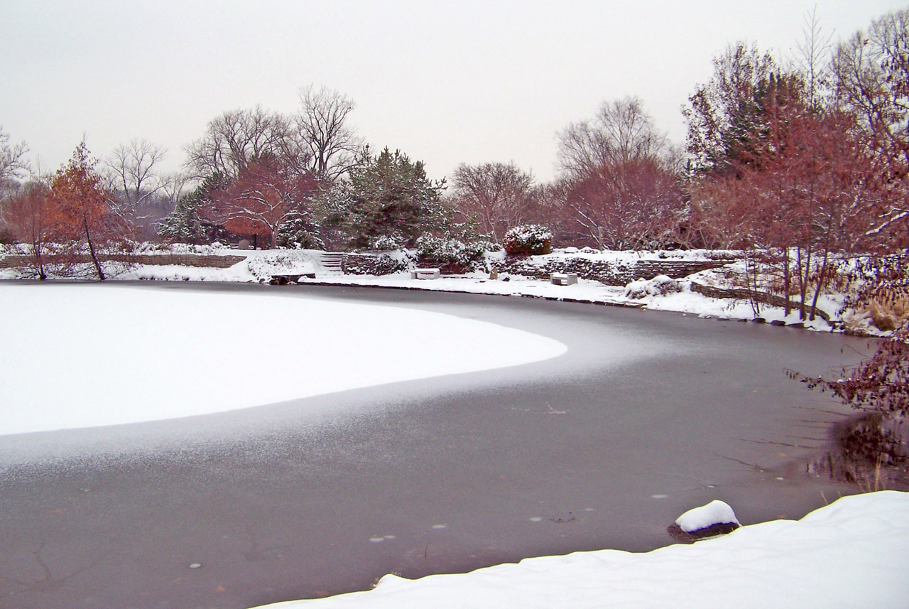 frozen pond winter free photo