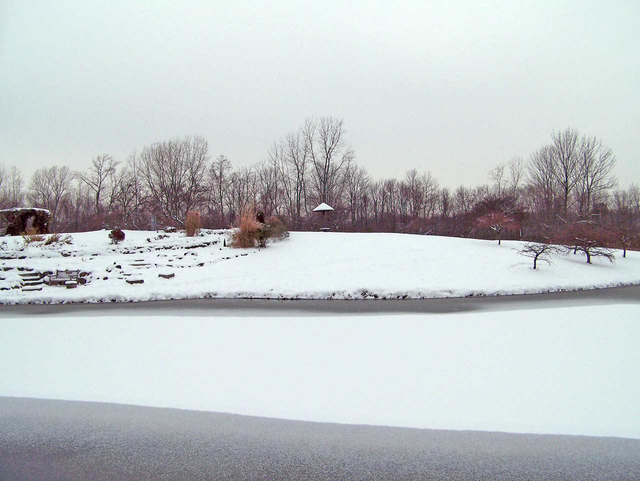 frozen pond ice free photo