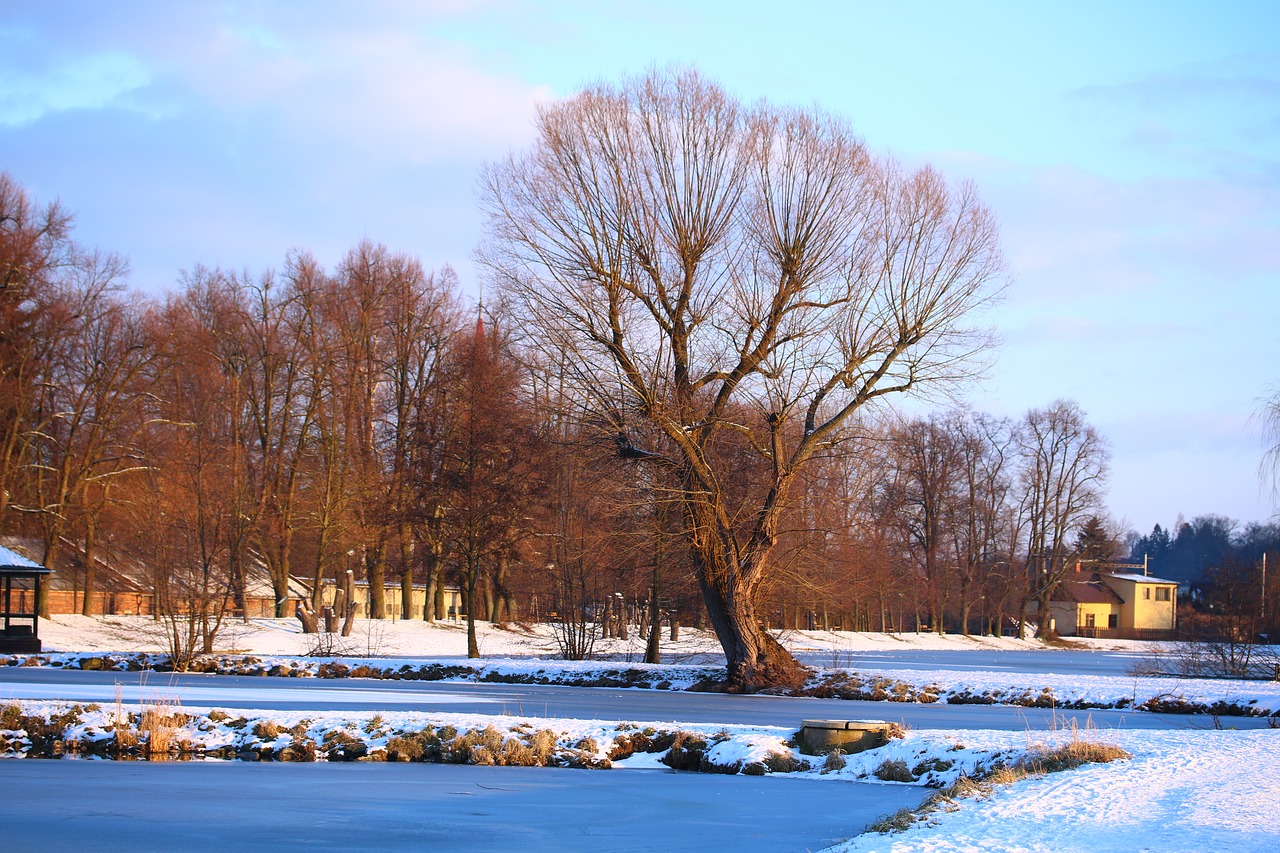 frozen pond ice winter day free photo