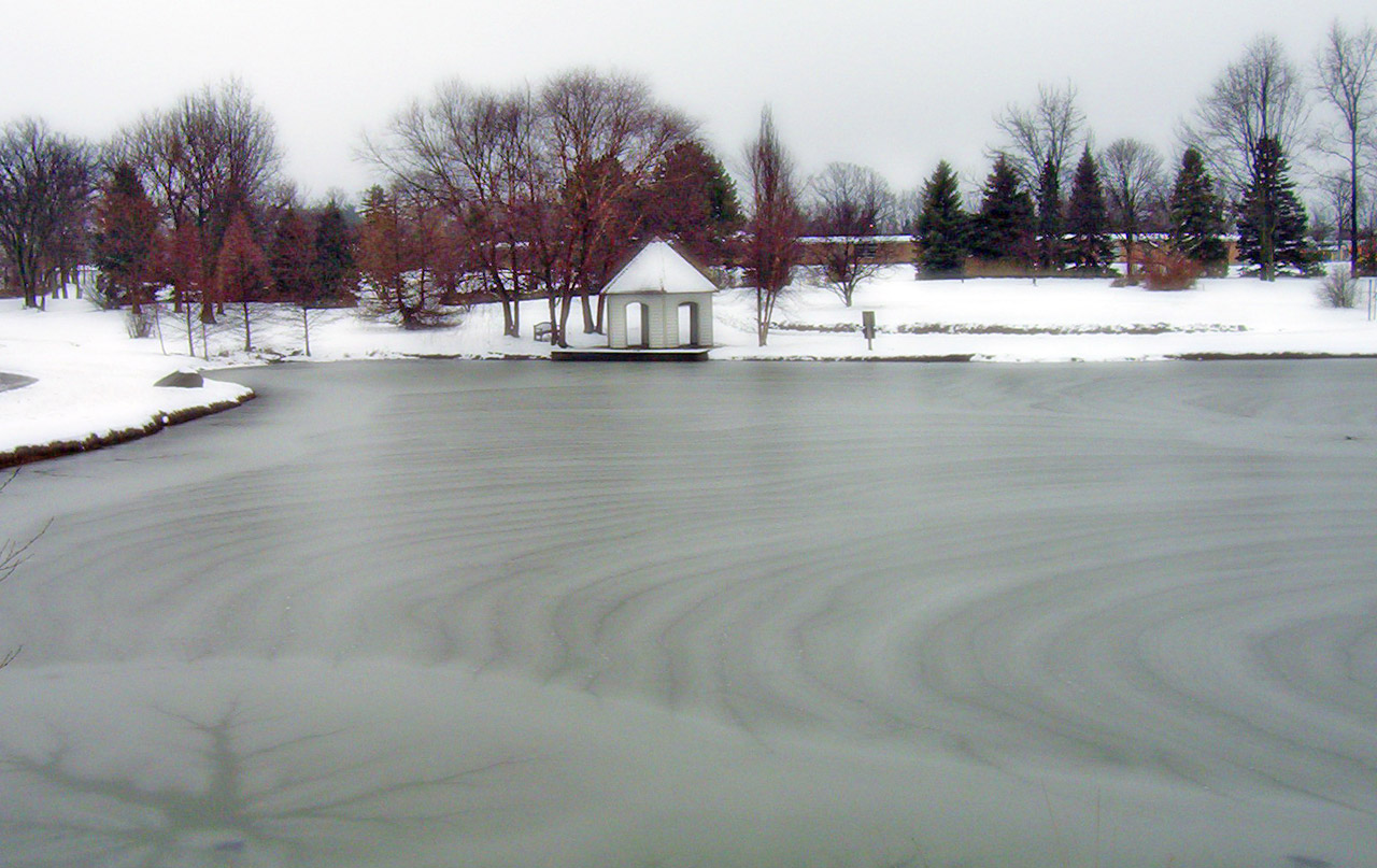 frozen pond park free photo