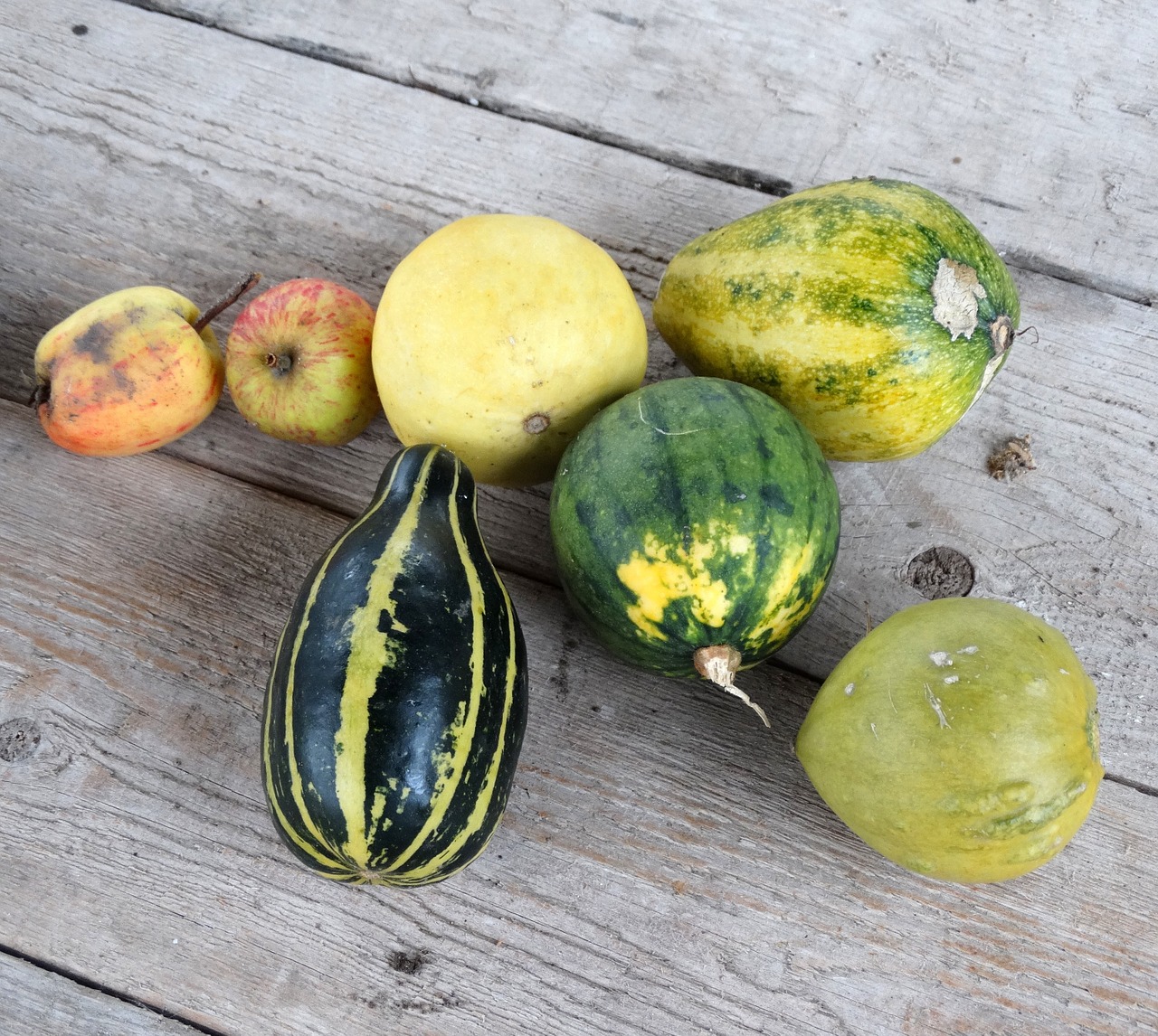 pumpkin fruit autumn free photo