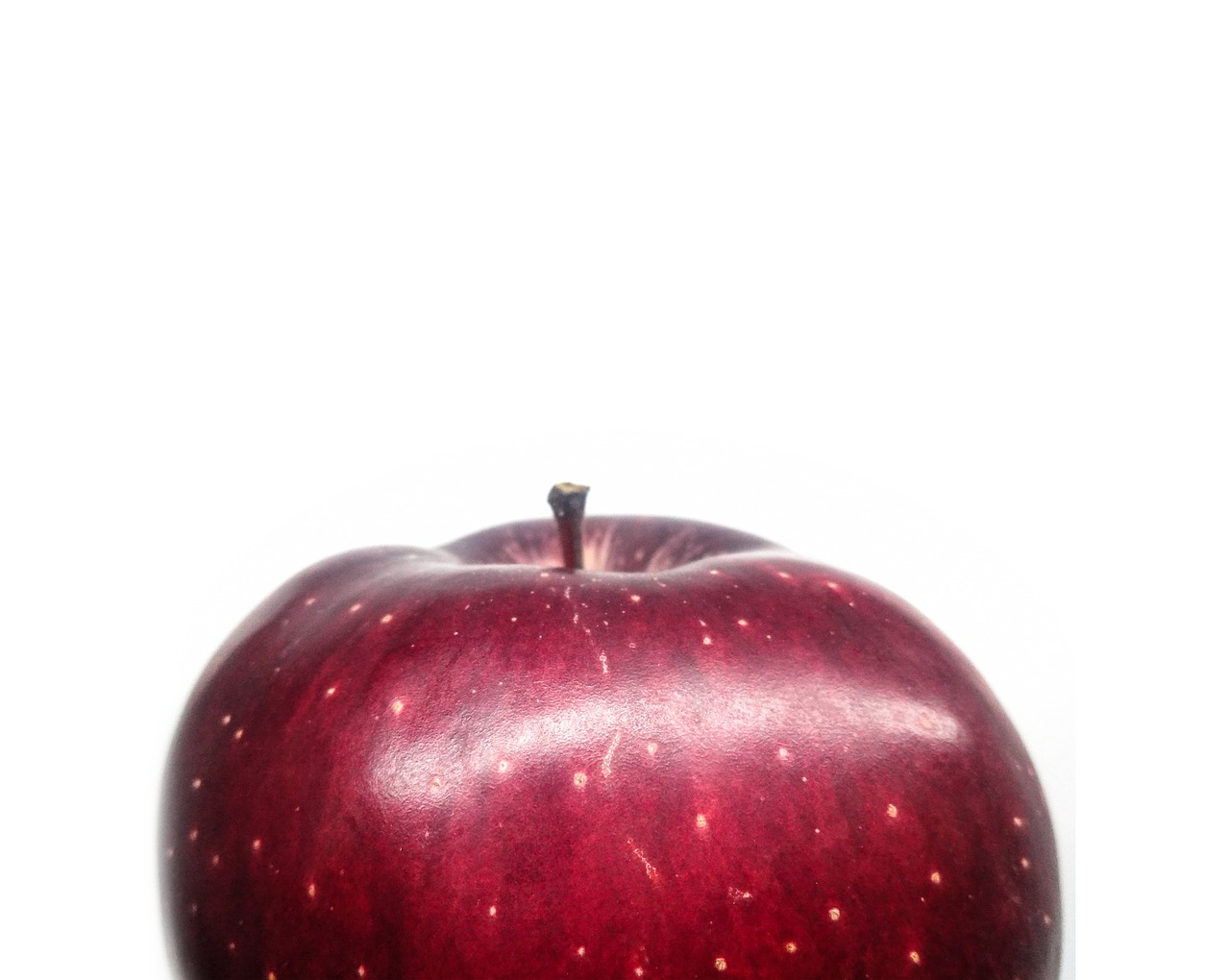 fruit apple red apple free photo