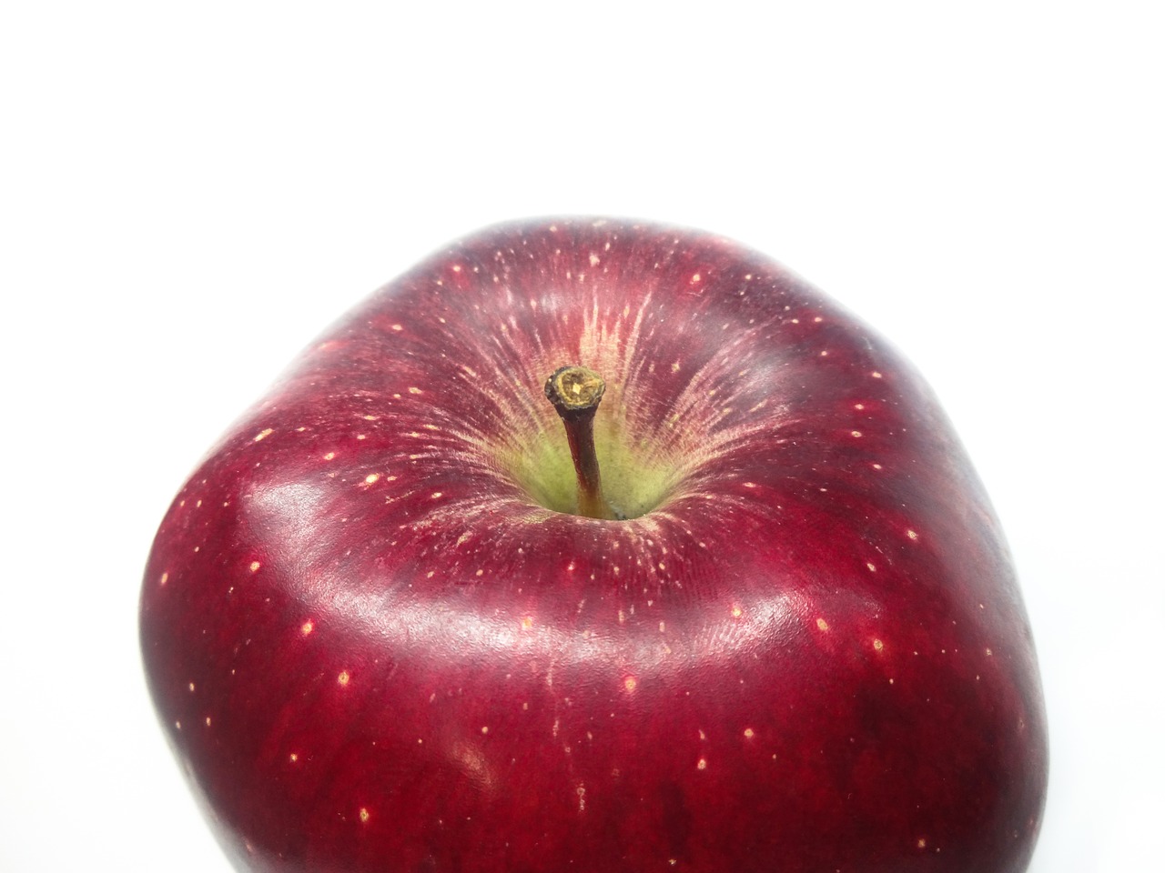 fruit apple red apple free photo
