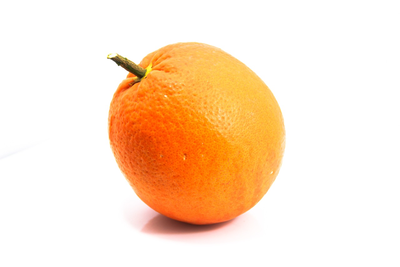 fruit orange white free photo