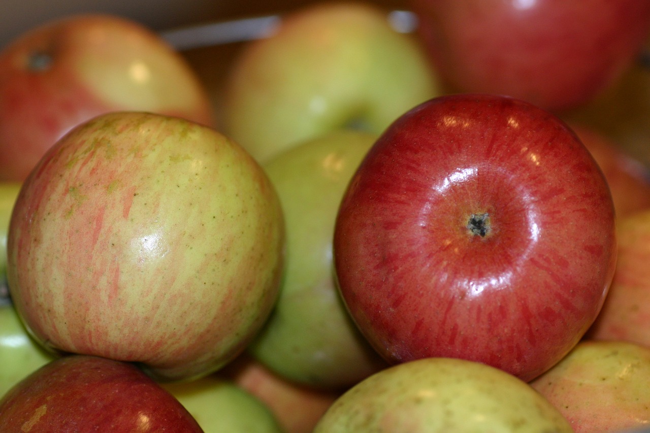 fruit apple healthy free photo