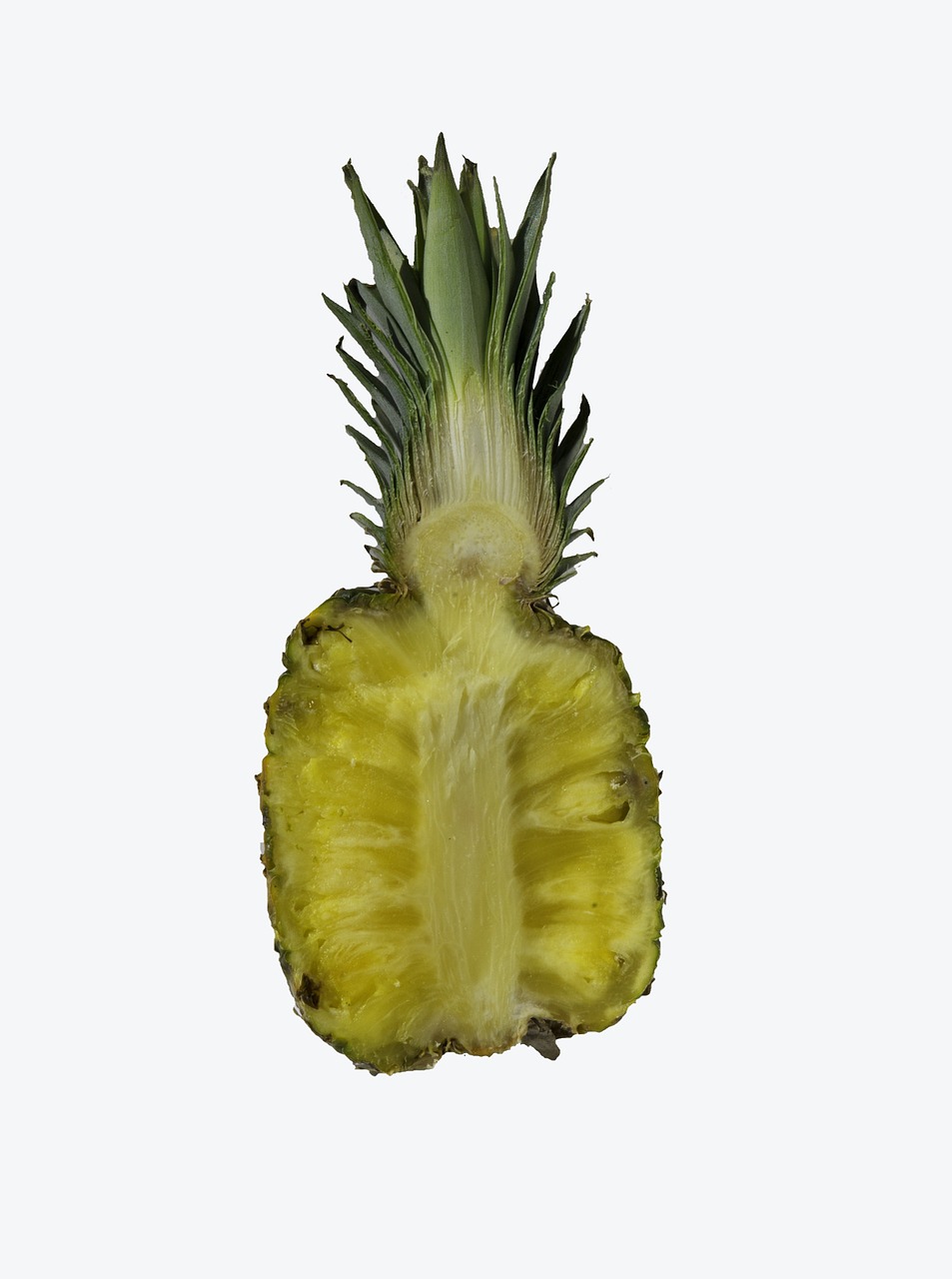 fruit pineapple yellow free photo