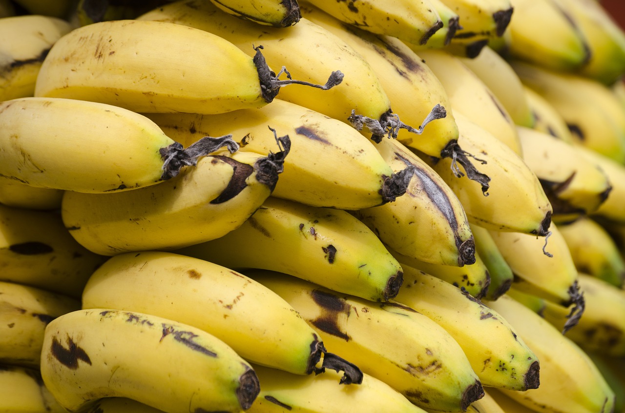 fruit banana food free photo