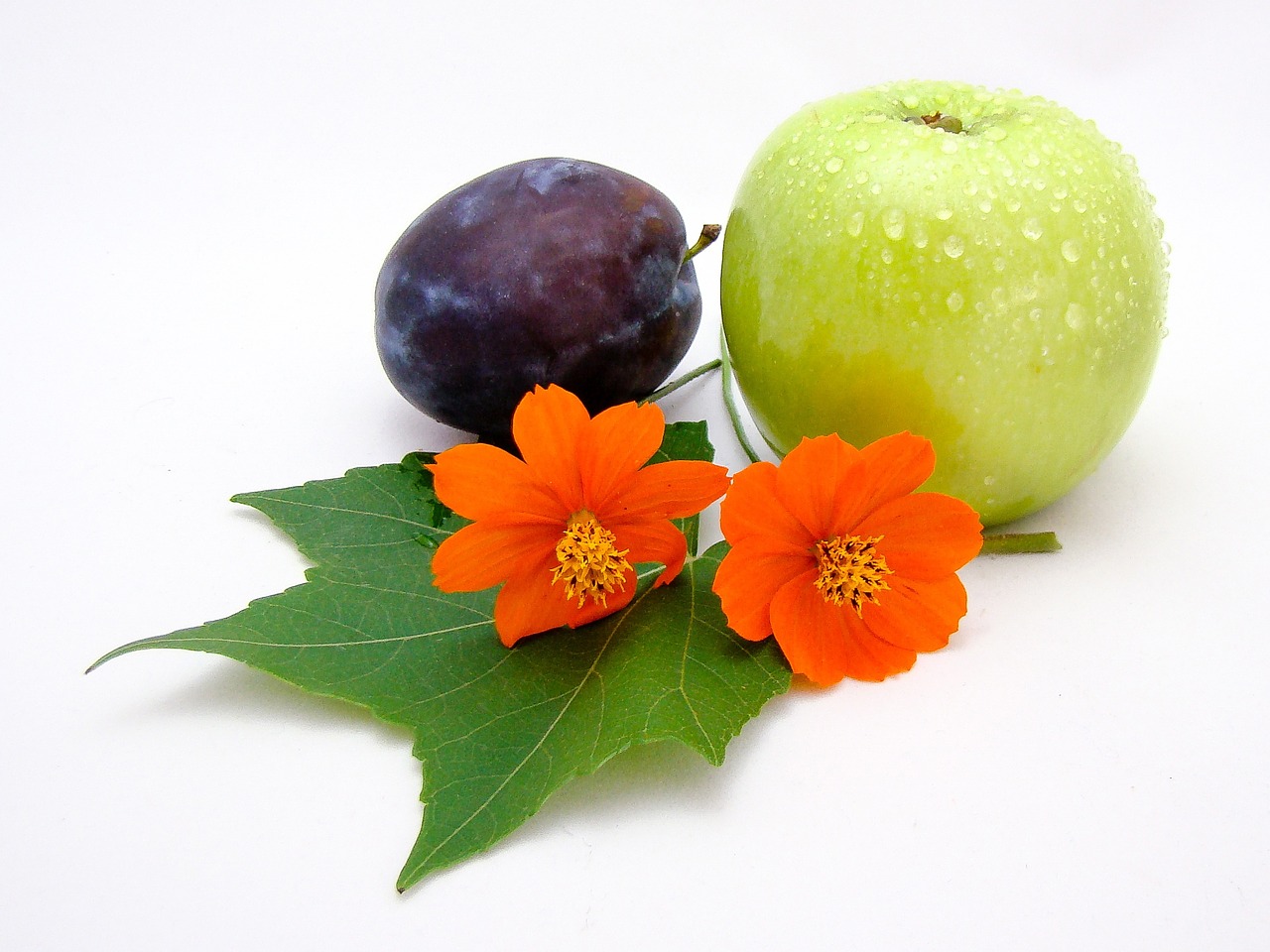 fruit flowers plum free photo