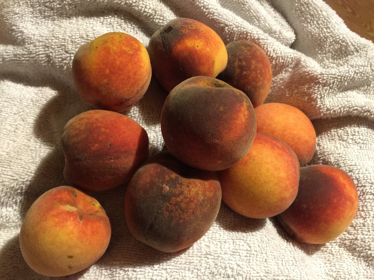 fruit peaches towel free photo