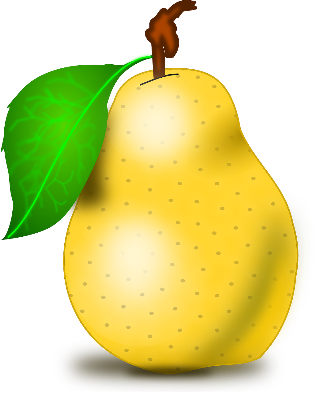 fruit pear fresh free photo