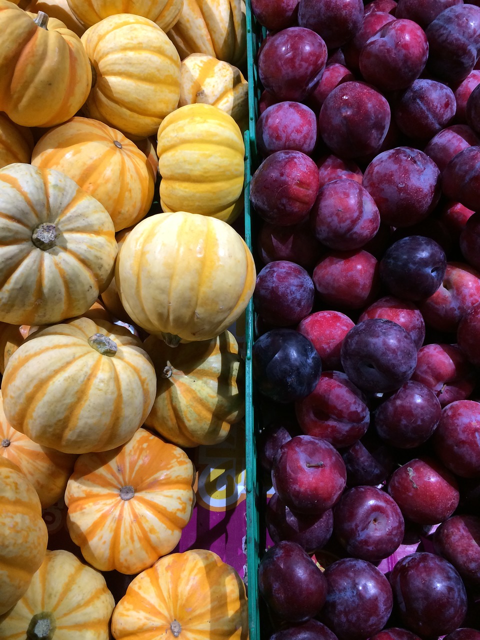 fruit vegetable pumpkin free photo