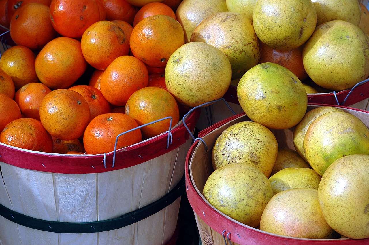 fruit oranges grapefruit free photo