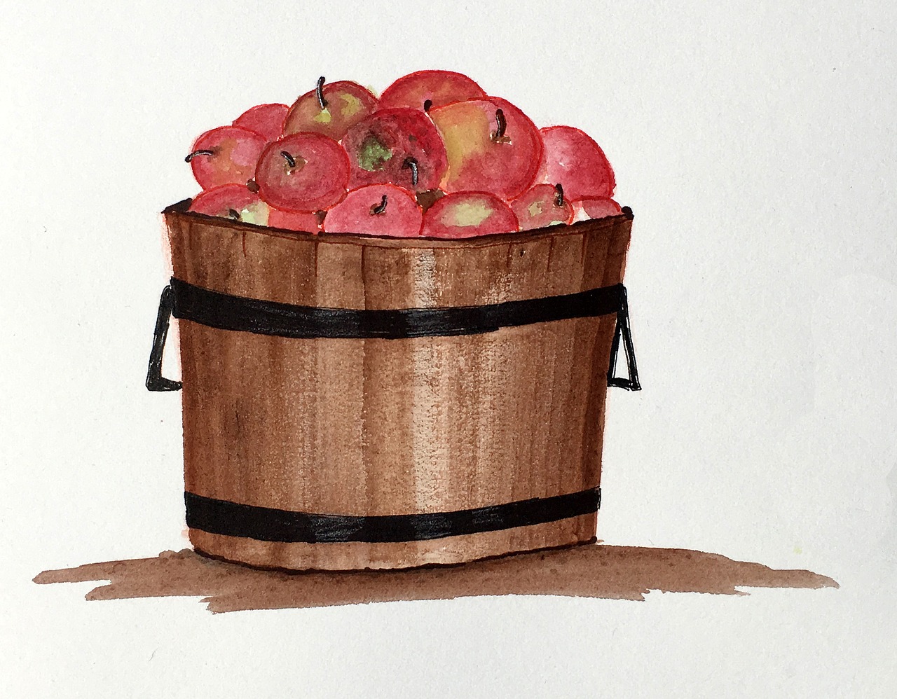 fruit apples barrel free photo