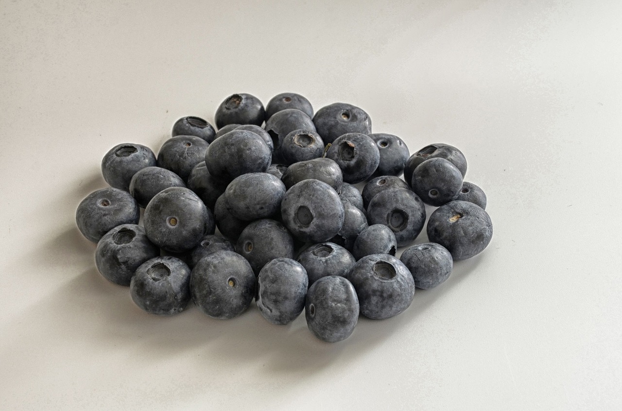 blueberries fruit table free photo